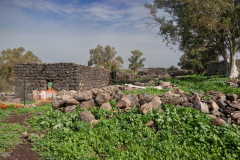 04-Yehudiya-Natre-reserve-Jan30-2026