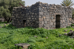 06-Yehudiya-Natre-reserve-Jan30-2026